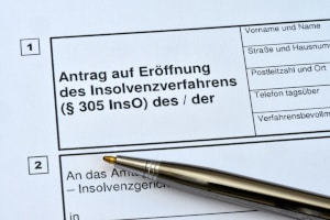 Das Formular für die Verbraucherinsolvenz finden Sie auf der Webseite des BMJV.